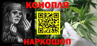 дживик Пенза