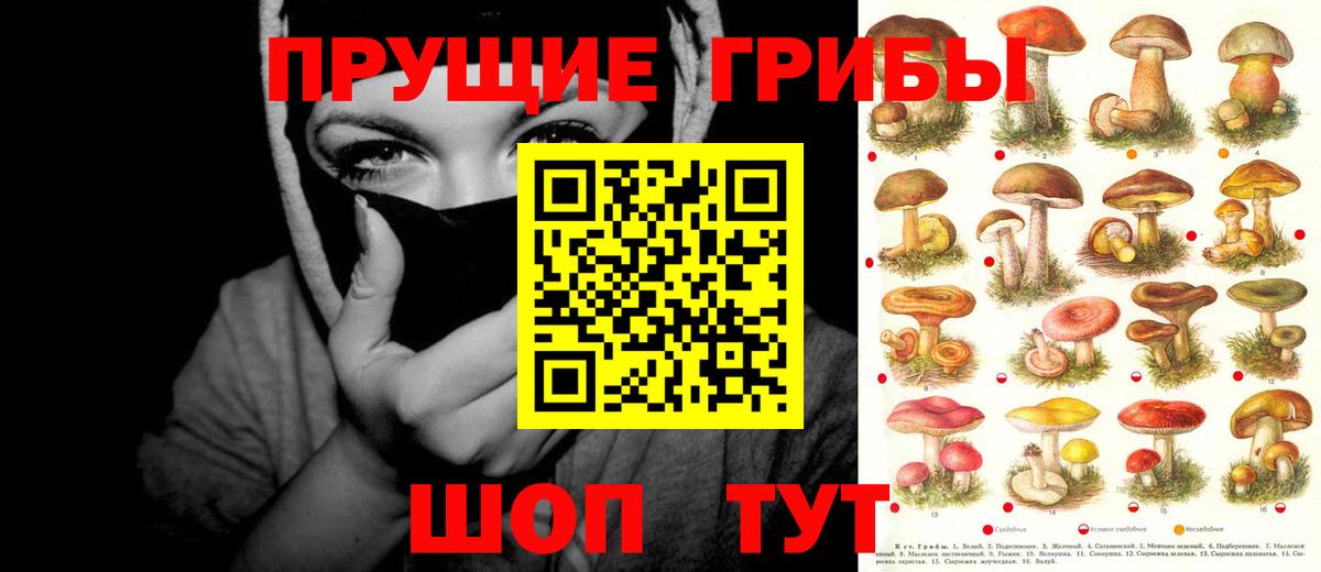 Галлюциногенные грибы Magic Shrooms Миасс